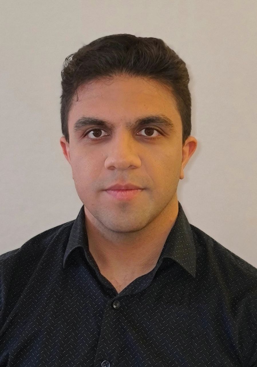 Hesam Ameri